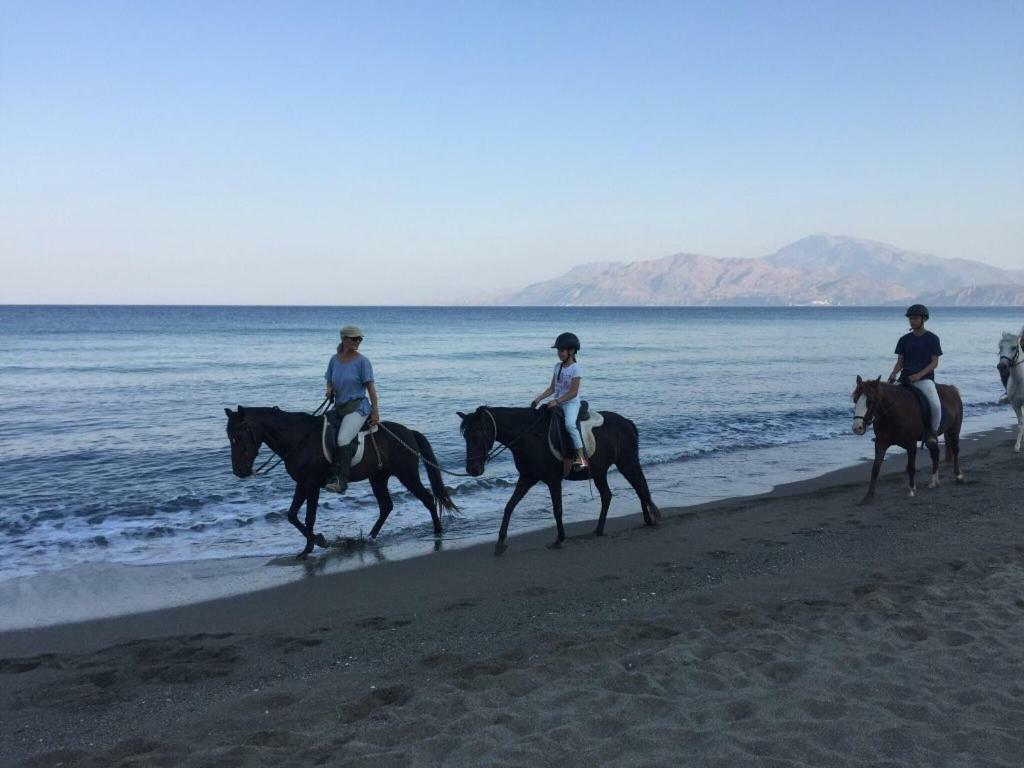 Kritikies Kydonia Βίλα Πιτσίδια Εξωτερικό φωτογραφία